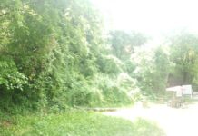 When Is the Best Time to Visit Istanbul from Bulgaria?