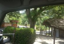 What Are the Best Bus Services from Bulgaria to Istanbul?