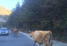 How to Plan a Weekend Trip from Bulgaria to Istanbul?