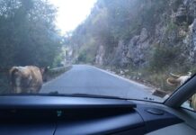 How to Plan Your Istanbul Itinerary in 2 Days