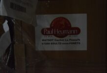 Best Time to Visit Sofia and What to Expect