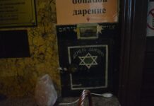 10 Reasons to Fall in Love with Sofia