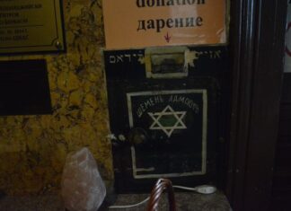 10 Reasons to Fall in Love with Sofia